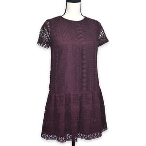 LOFT Plum Purple Lace Shift Dress Size 2P 2 Petite Short Sleeve Career Ruffle